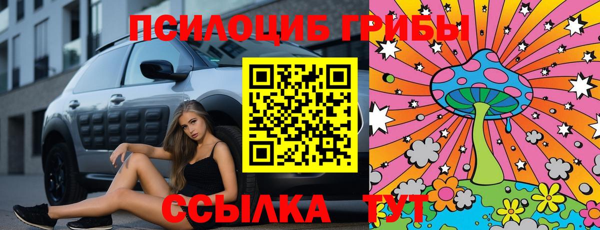 Ногинск  Галлюциногенные грибы Psilocybine cubensis  Вход с VPN 