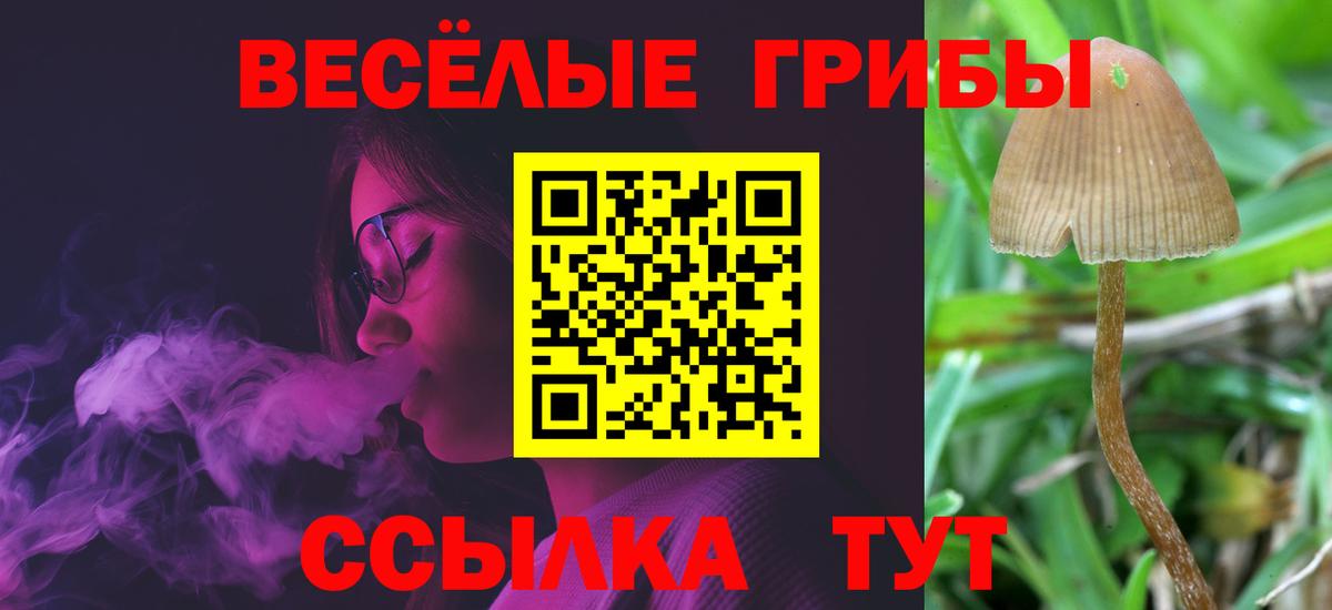 Псилоцибиновые грибы MAGIC MUSHROOMS Ногинск